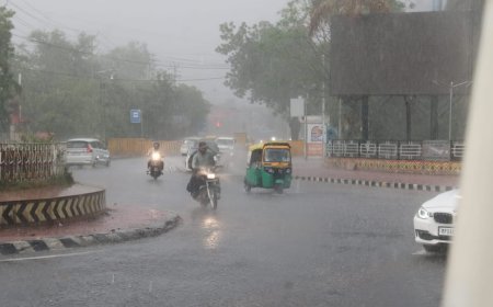 मध्यप्रदेश में झमाझम बारिश, नदी-नाले उफान पर; आज 14 जिलों में भारी बारिश का अलर्ट