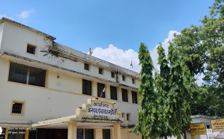 मझौली: 7 लापरवाह रोजगार सहायकों पर हुई कार्रवाई, सीईओ ने काटा वेतन