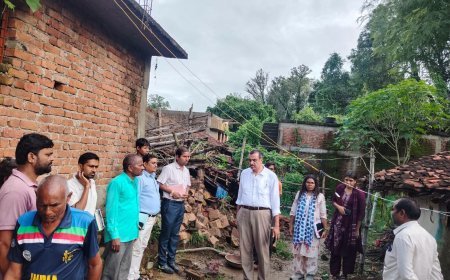 Sidhi News: अतिवृष्टि प्रभावित गांवों में पहुंचे कलेक्टर विकास मिश्रा, नुकसान का लिया जायजा, राहत के दिए निर्देश