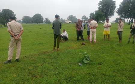 Sidhi Kusmi News: तालाब में नहाने गया युवक तालाब में डूबा, शव की तलाश जारी,गांव में पसरा मातम