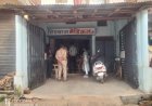 Sidhi,Majhouli: फर्जी तरीके से संचालित मेडिकल पर मझौली CBMO ने की छापामार कार्रवाई, बोले होगी एफआईआर