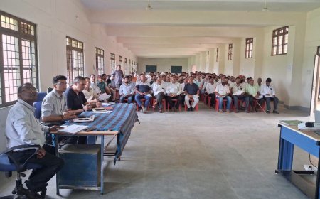 मझौली में कलेक्टर विकास मिश्रा ने बैठक में दिए निर्देश,17 से शुरू होगा निःशुल्क रजिस्ट्री महाअभियान