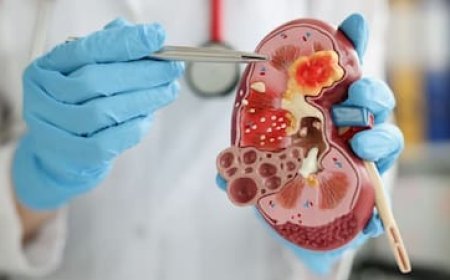 Kidney Disease Symptoms: किडनी फेलियर के चेतावनी संकेत: पैर में सूजन से लेकर बेहोशी तक,यहां देखिए लक्षण और उपाय