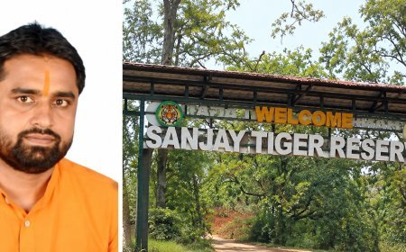 संजय टाइगर रिजर्व में वन्यजीवों की मौत और पेड़ों की कटाई पर सवाल, वन सभापति ने लगाए गंभीर आरोप