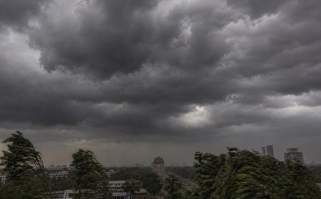 MP Weather Update: विदाई से पहले मानसून का फिर बदला मिजाज, 25-26 सितंबर को भारी बारिश का अलर्ट