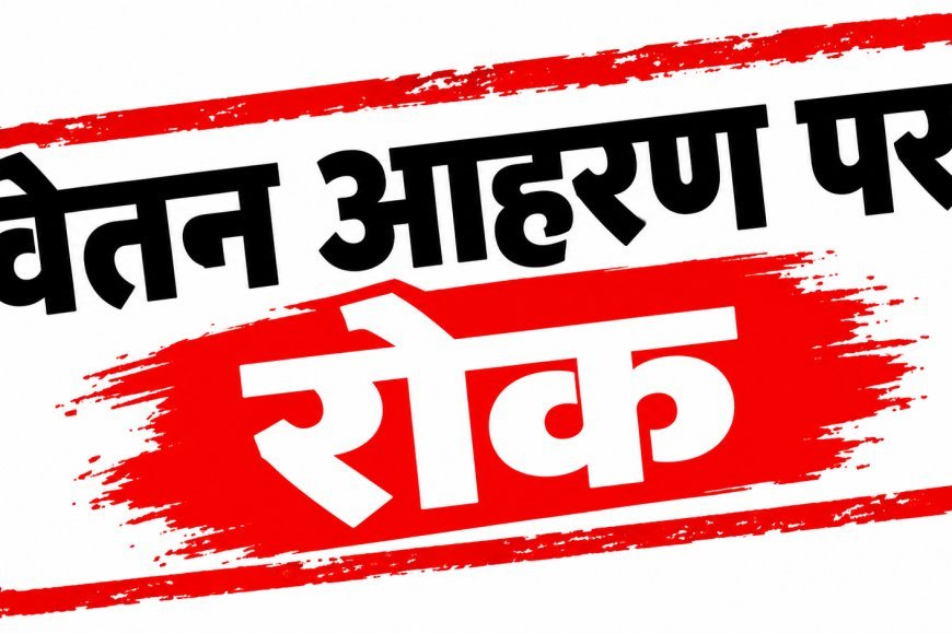 Sidhi News: लापरवाही पर 6 अधिकारियों-कर्मचारियों के वेतन पर रोक, जिला पंचायत CEO ने की कार्रवाई