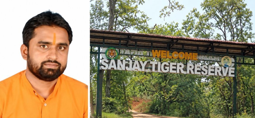 संजय टाइगर रिजर्व में वन्यजीवों की मौत और पेड़ों की कटाई पर सवाल, वन सभापति ने लगाए गंभीर आरोप