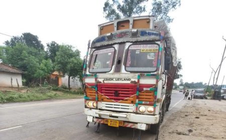 सीधी: नशे में ट्रक चलाना पड़ा महंगा,पुलिस ने चालक को पकड़ा, न्यायालय ने लगाया 10,500 रुपये का अर्थदंड