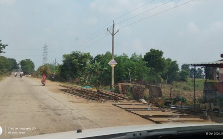 पथरौला-गिजवार सड़क मार्ग पर व्यापारियों ने खोल लिया दुकान, सड़क किनारे धान की गहाई से भी बढ़ी परेशानी, हादसे का खतरा