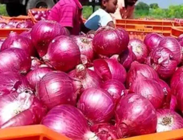 प्याज के दाम में गिरावट, जानिए मंडी में अब कितनी हुई कीमत