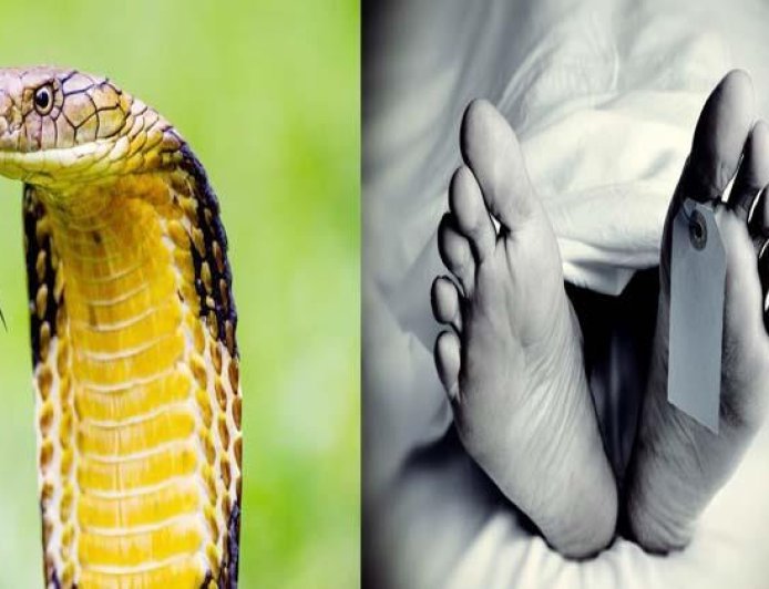 खेत में काम करते समय महिला को सांप ने काटा, झाड़-फूंक के दौरान मौत
