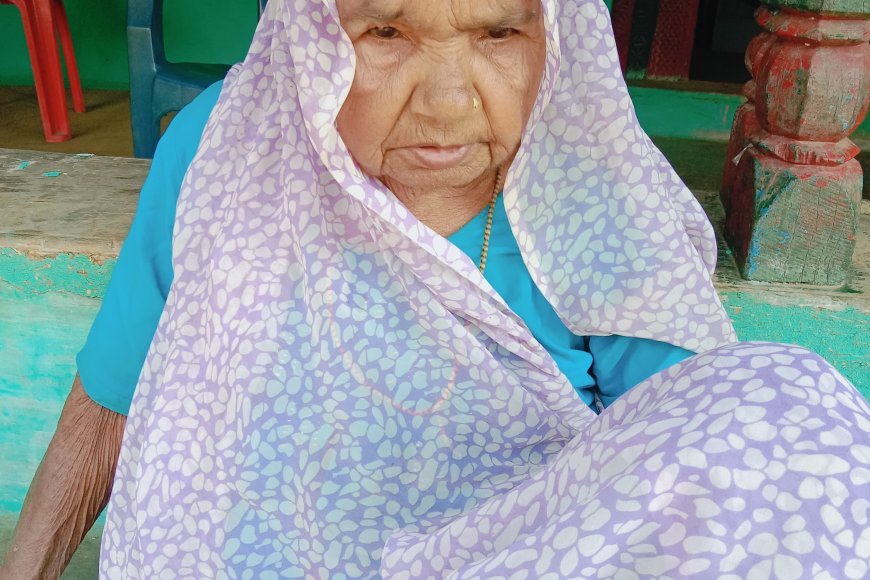 जनभागीदारी समिति के अध्यक्ष पवन मिश्रा की दादी का 100 वर्ष की आयु में निधन