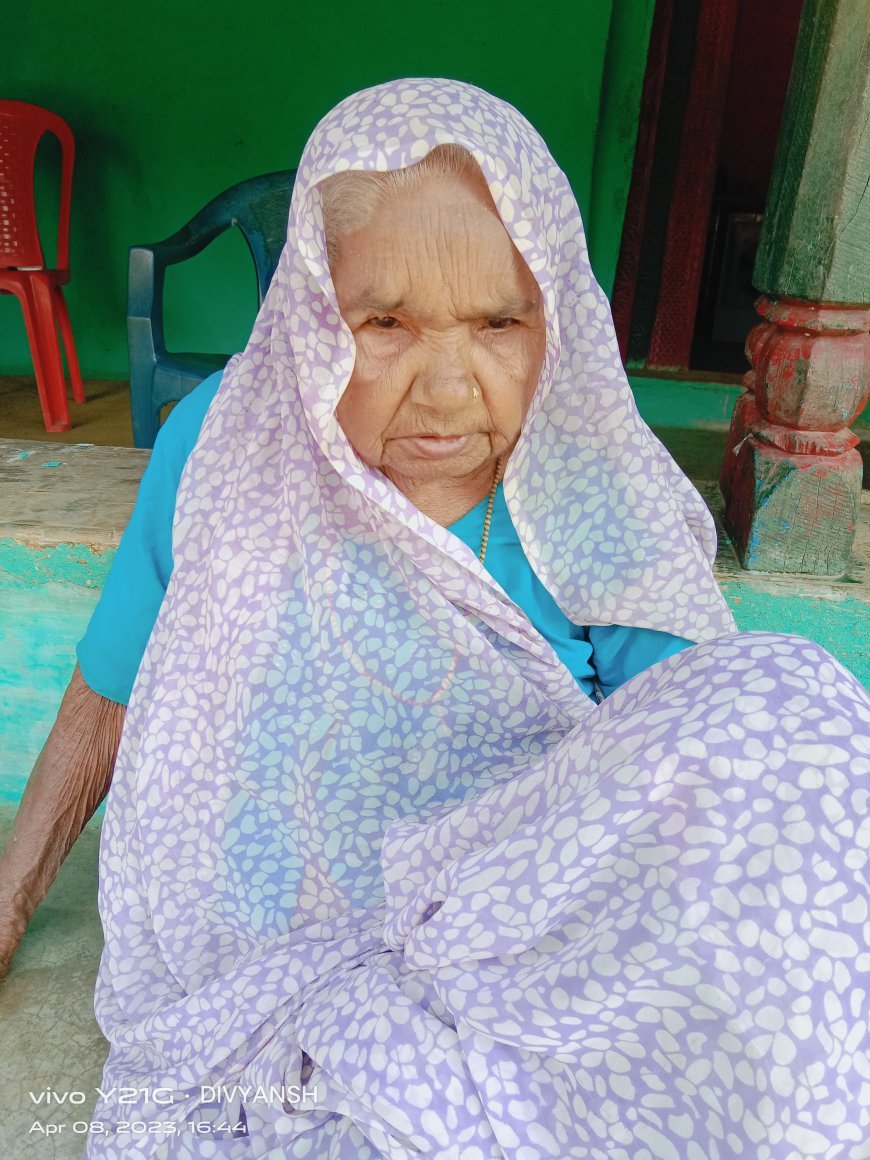 जनभागीदारी समिति के अध्यक्ष पवन मिश्रा की दादी का 100 वर्ष की आयु में निधन